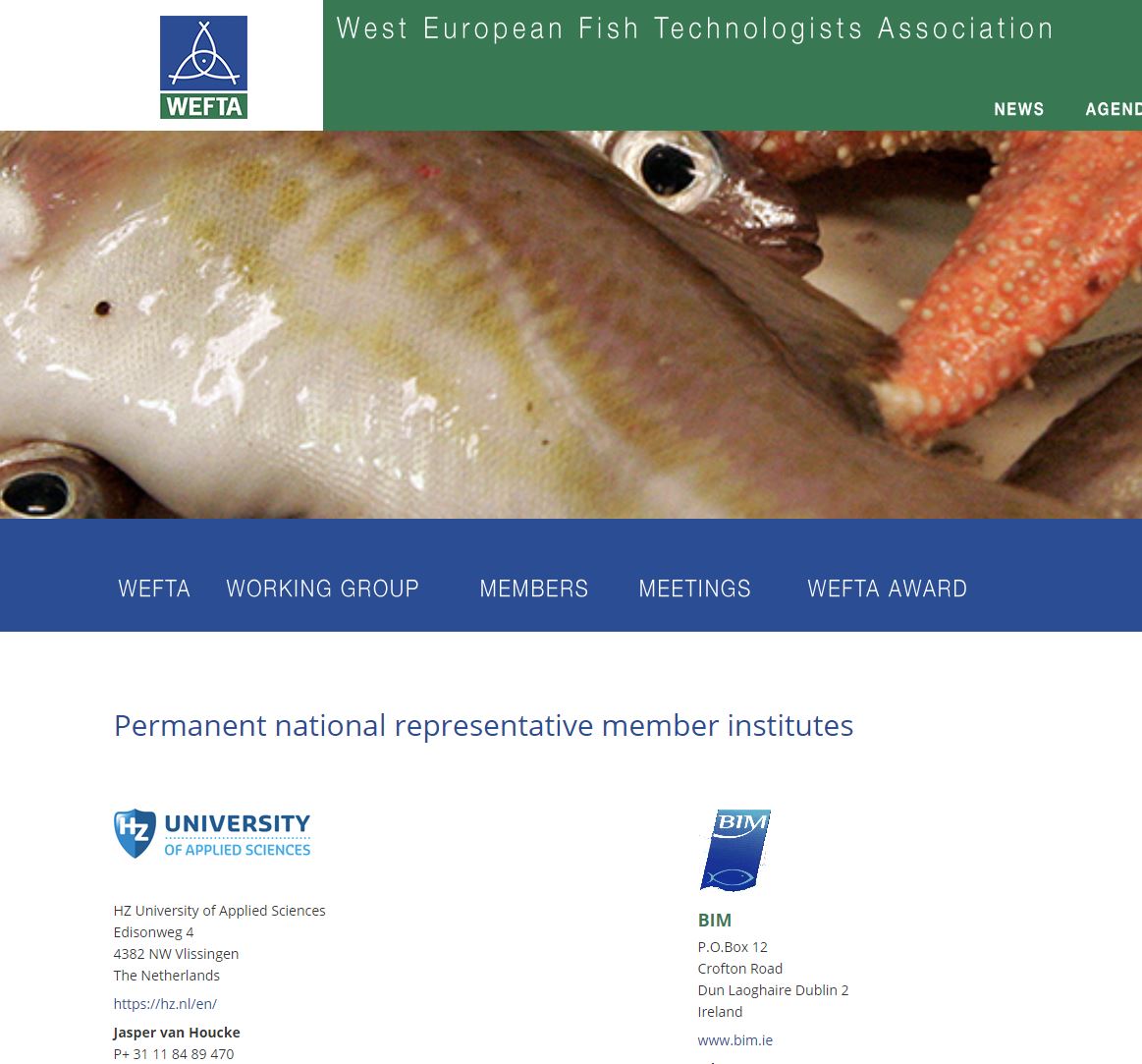 Redesigned WEFTA website almost finished